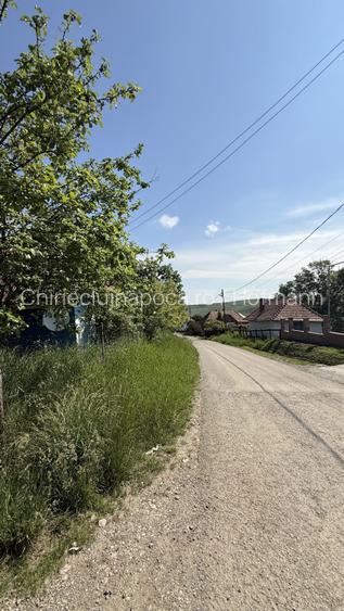 Teren cu pârâu si casa batraneasca, 25 min de Cluj, zona Boju/Cojocna - 6