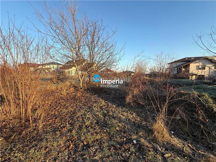 Teren 712/ 1422  mp, plan, Iasi Tudor Neculai,  bransamente - 4