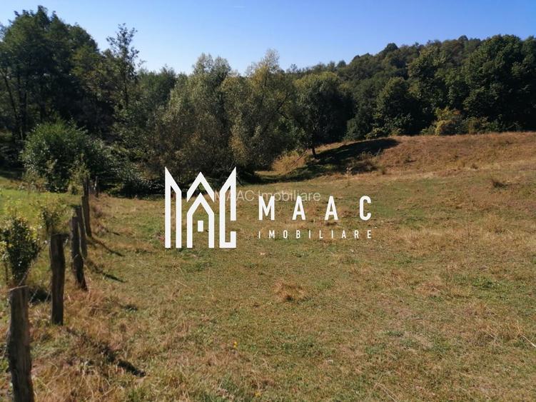 Teren Extravilan 20.000Mp I Stoenești -Vâlcea I Apă Curentă și Pădure - 10