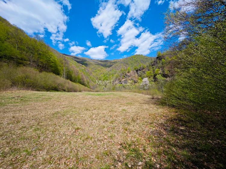 Vând teren intravilan Tarnița - Risca - Mărișel  jud. Cluj - 2