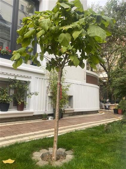 Vanzare vila Exclusivista Clucerului - 8