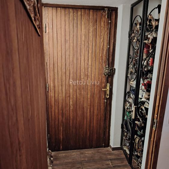 COTROCENI - Aici a visat și a creat pictorului Zamfir DUMITRESCU - 12