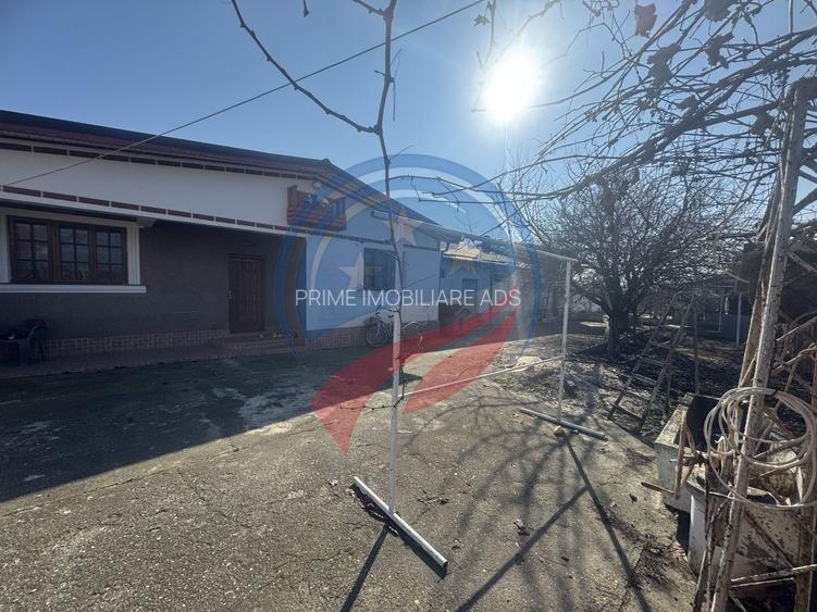 Proprietate deosebita in Filiasi - 15