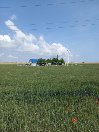 Casa 5 camere - Corbu - 115.000 euro (Cod E2+E7) - 2