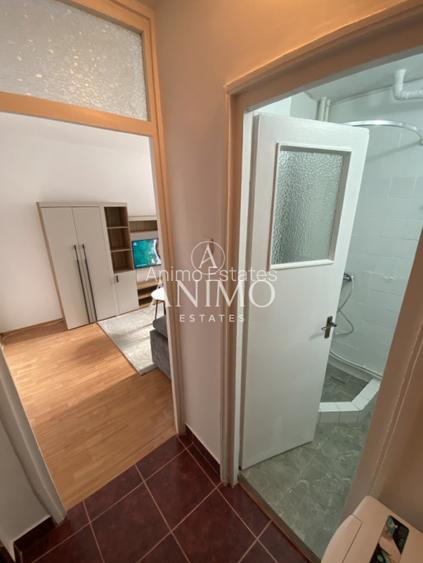 Garsoniera renovata de inchiriat | Manastur | Etaj intermediar  - 7