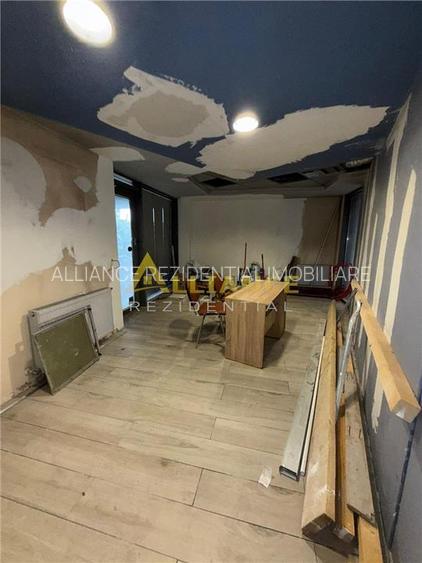 Parc Carol -Spatiu Comercial 237 mp-vanzare sau inchiriere - 15