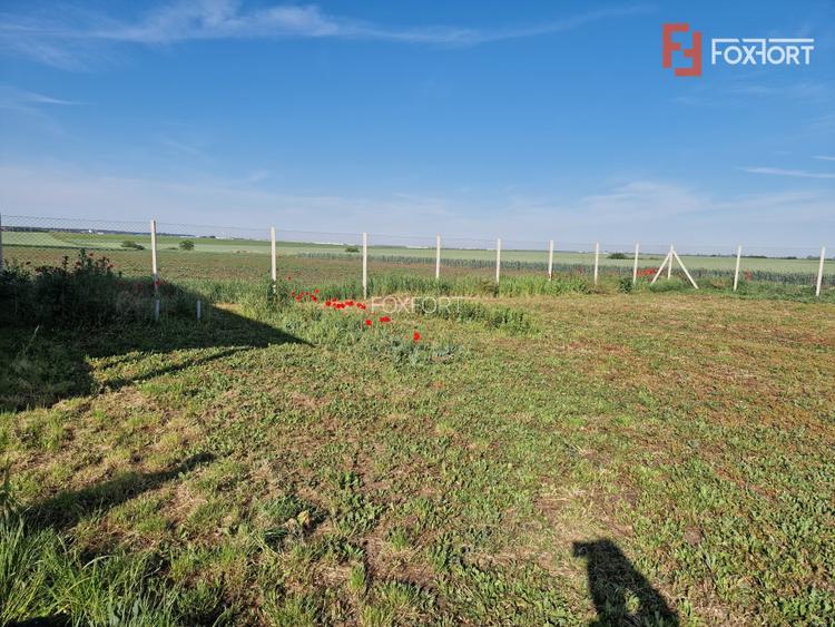 Teren extravilan de 3500 mp de vanzare in Remetea Mare - 5