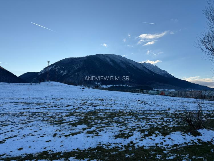 Teren intravilan 667 mp in Zarnesti zona Grui pentru casa - 6