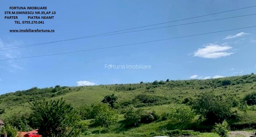 Casa P+M la rosu,intravilan Piatra Neamt, zona Darmanesti - 5