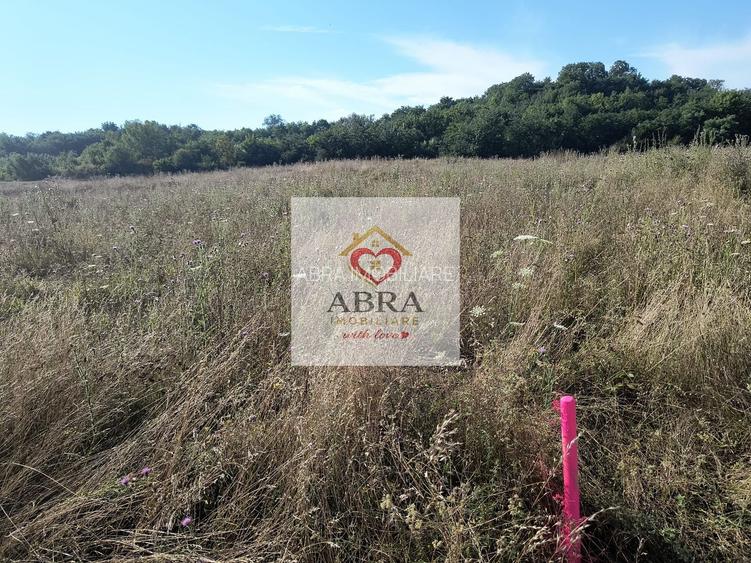 Teren intravilan investitie - 6