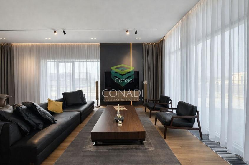 The american dream | zona Ambasadei Americii - 2