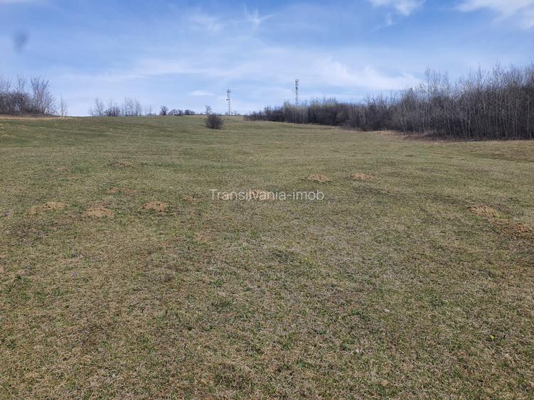 Teren Tarlungeni pretabil investitie 3,5 euro/mp - 4