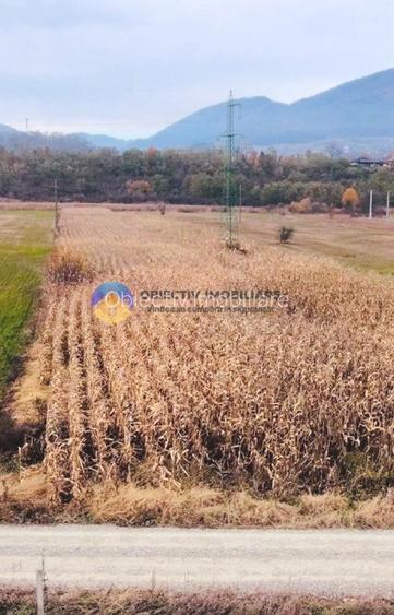 Teren intravilan de vanzare 5533 mp – Alexandru cel Bun - 3