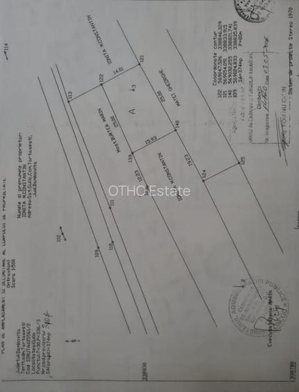 Tartasesti | Intrabilan | 1000 mp | - 3