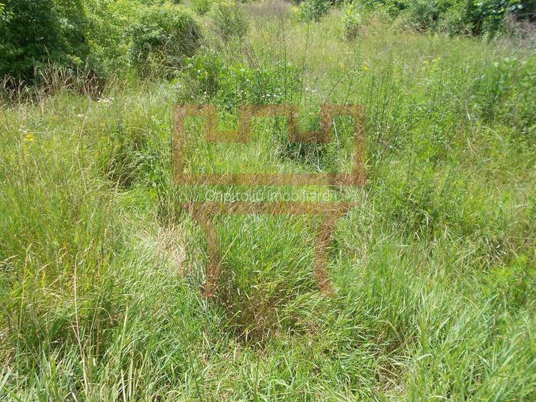 Vanzare teren  in Faget  zona Hotel Stil cu PUZ spre aprobare - 3