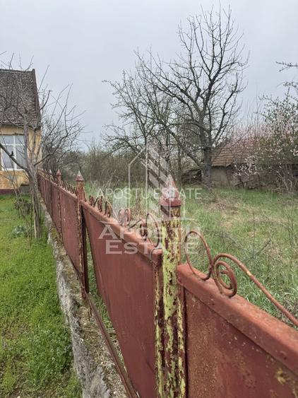 Casă unifamilială în Remetea Mare  cu teren de 3383 mp. - 8
