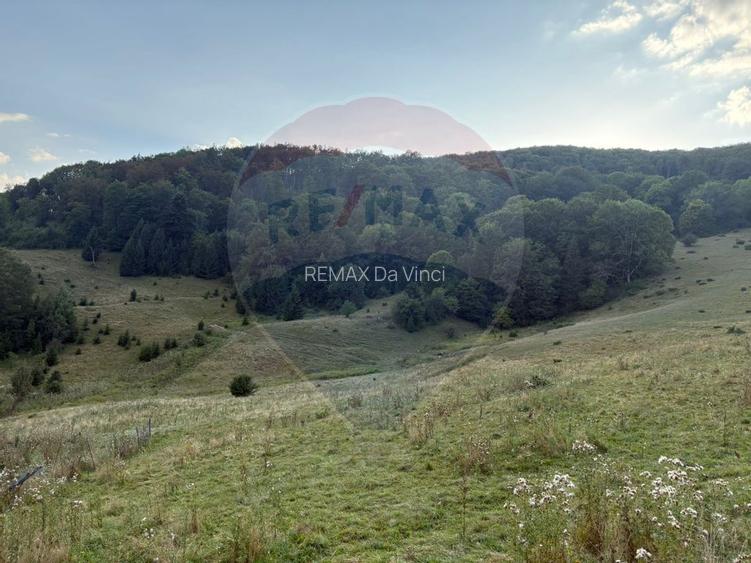 TEREN EXCLUSIV PENTRU INVESTIȚIE ÎN ZONĂ DE AGREMENT – BRAȘOV, DN 1E - 5