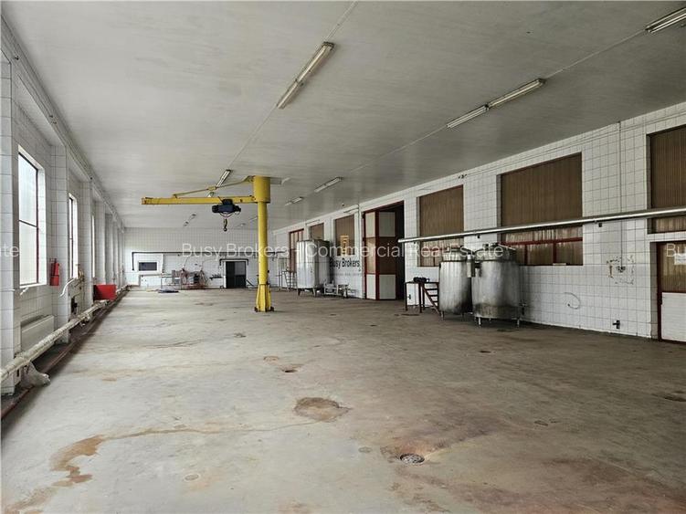 Proprietate Industriala - Productie - Industrie Alimentara - 8