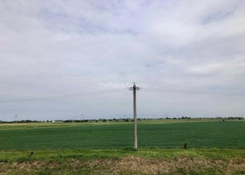 Teren industrial, posibil constructie hale, Bolintin-Vale - 3