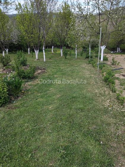 Vanc casa cu teren intravilan  - 3