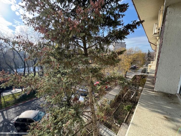 Vatra Luminoasa Maior Coravu - 29