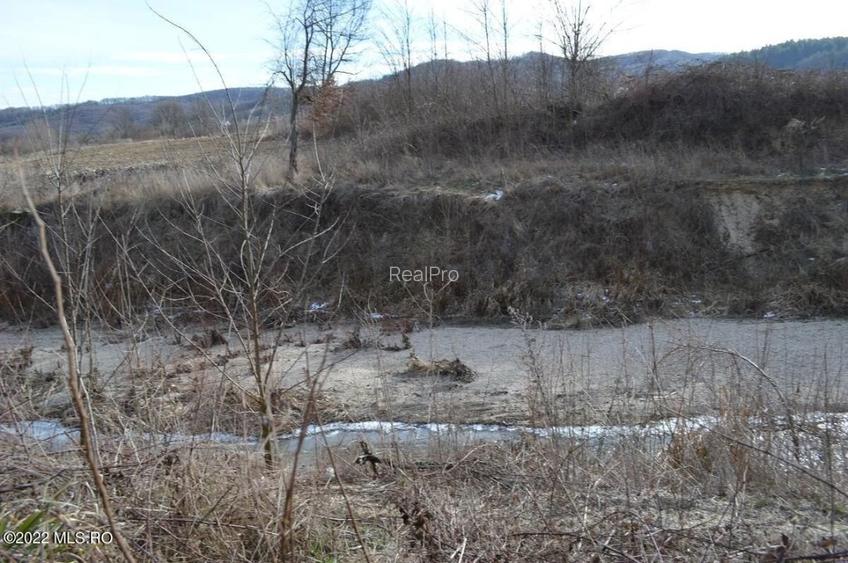 Valea Ursului - DN 7, Teren Stradal 2744 mp! - 7