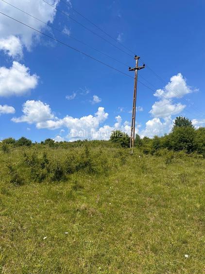 Teren extravilan 54.500 mp, lângă pădure, între Lovnic – Văleni - 4