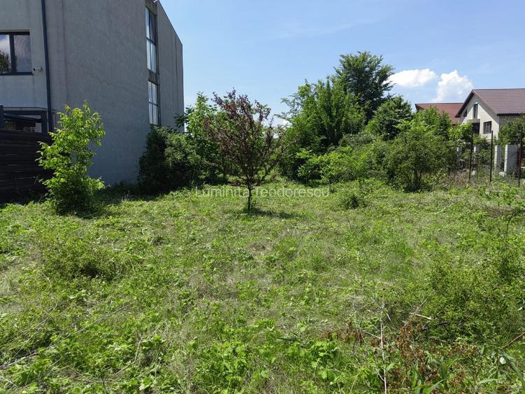 Proprietate Unică în Nordul Bucureștiului – Ideală Centru Seniori  Premium  - 4