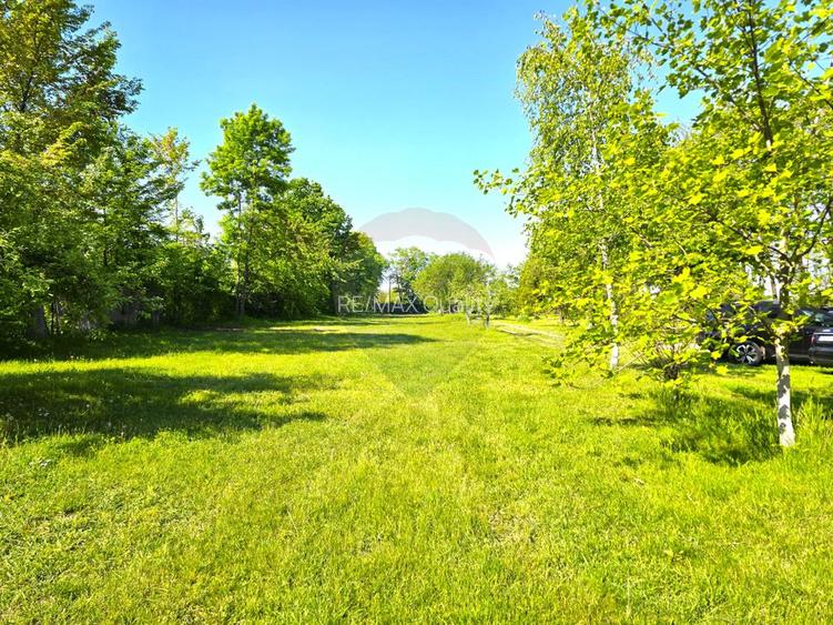 Proprietate unica, deschidere generoasa directa la lacul Snagov - 32