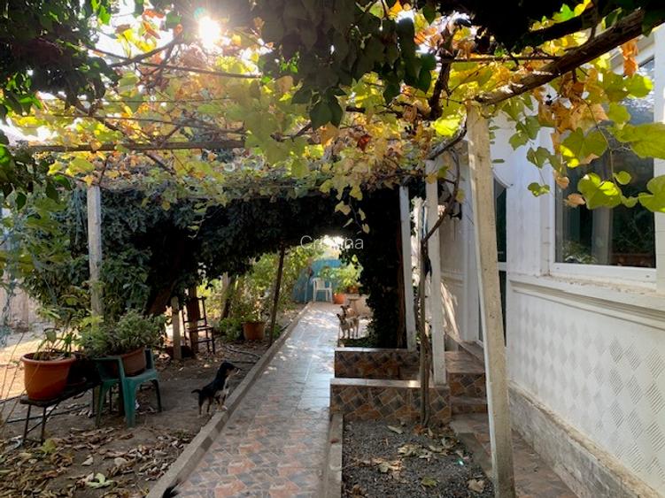 Jurilovca, de vânzare casa de vacanță  - 2