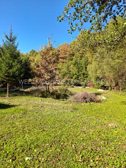 De vânzare un teren intravilan de 2.149 m² în Sovata, pe strada Vânătorilor - 5