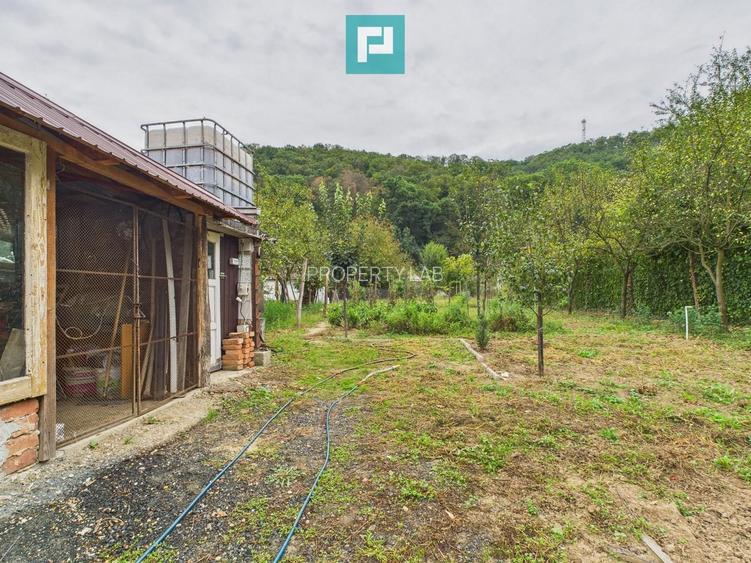 Căsuță de vacanță pentru pescari în Lipova - 4