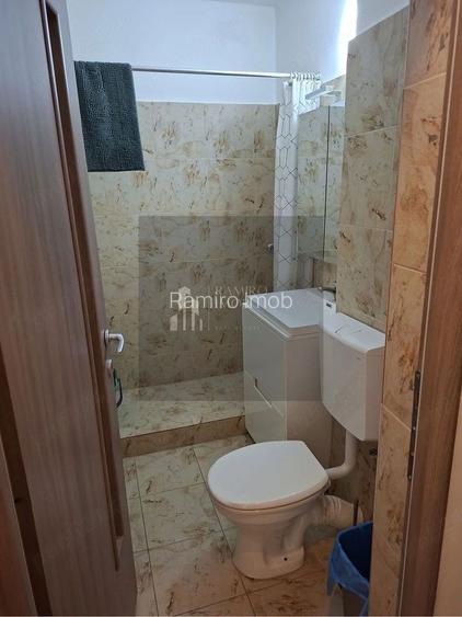 Garsoniera renovata, Berceni, Turnu Magurele/Obregia - 4