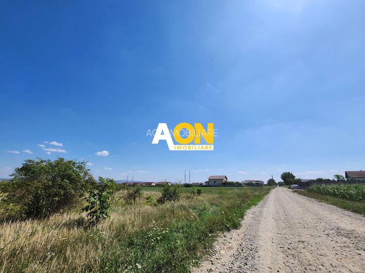 De vanzare 998mp teren intravilan, partea stanga Alba-Micesti - 4