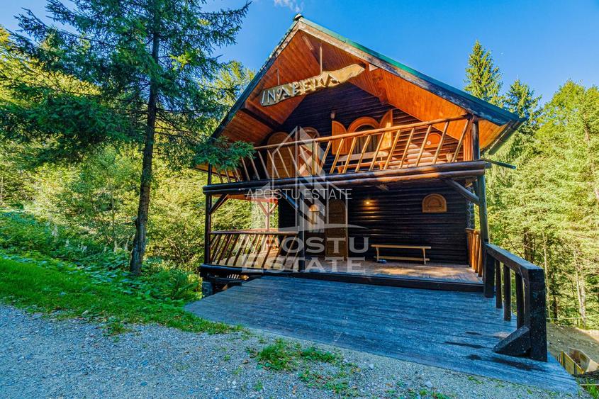 Pensiune, casa de vacanta, 6 camere, statiunea Rausor din Hunedoara - 6