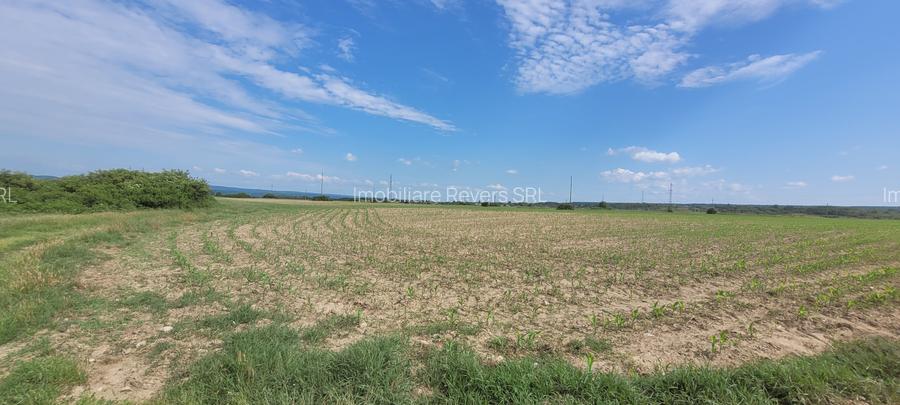 TEREN AGRICOL BABENI LANGA ABATOR LA PROVINCIA - pretabil ferma cu panour solare - 20