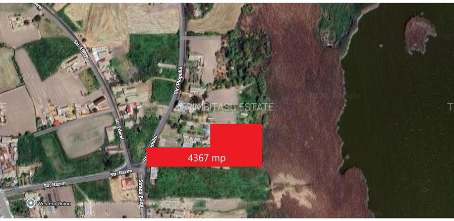Teren intravilan 4367 mp – Salcioara – deschidere la lac - 2