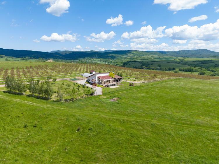 PROPRIETATE CU LIVADA MATURA DE NUCI SI POTENTIAL INVESTITIONAL - 5