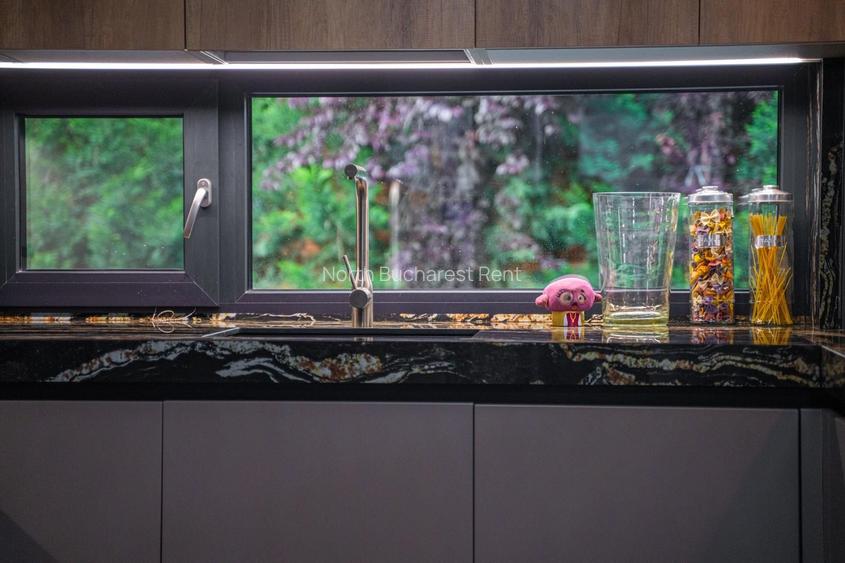 Vila Exclusivista de Inchiriat | Erou Iancu Nicolae | Piscina - 10