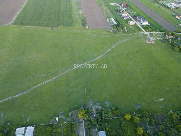 Teren intravilan 5,44 ha, Vladimirescu - 3