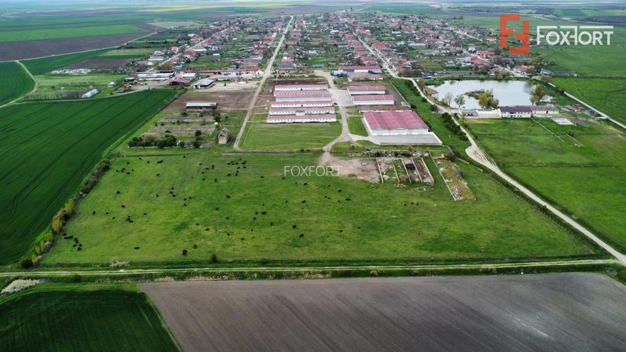 Teren intravilan cu suprafata de 58.340 mp, in Sanmartinul Sarbesc - 15