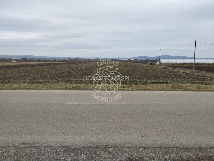 Teren intravilan 2500 mp-pretabil case, pensiune-Zona Crama Jelna - 2