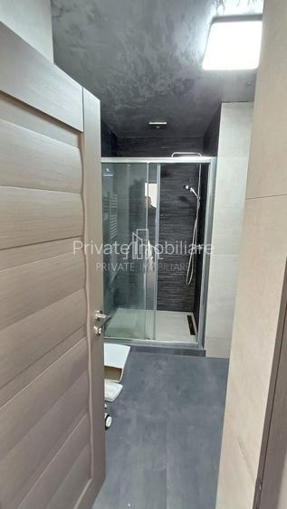 Proprietate Speciala, Casa pe 2 Nivele si 1 Studio, Curte proprie, Zona Dambu - 3