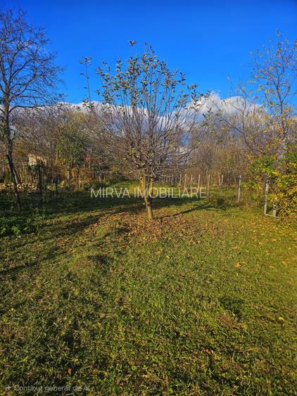 Exclusivitate! Casă cu teren generos în Sat Olteni, Com.Teișani - 12