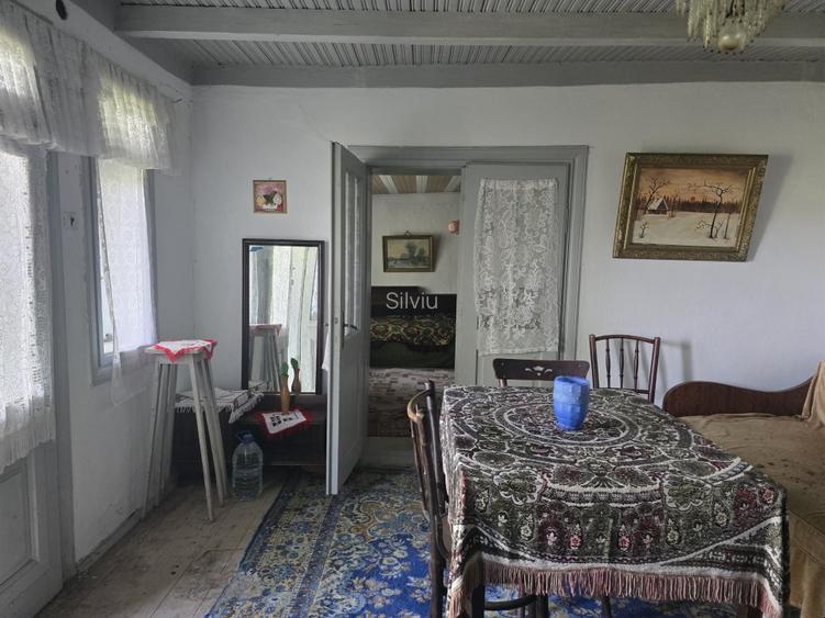 Casa batraneasca ,gradina cu vie si livada, fara agentie  - 10