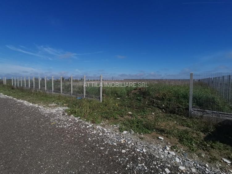 Dumbravita teren industrial 2581 mp - 4