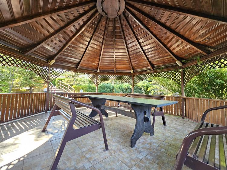 Vila superba de vanzare in Vintila Voda, Buzau D+P+1 si anexe - 6