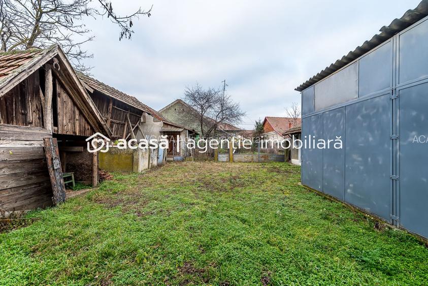 Casă + livadă tânără + curte 2.500 mp în Dorobanți - 11