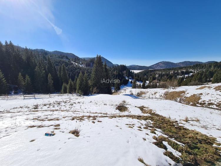 Teren situat langa padure de Vanzare - 2