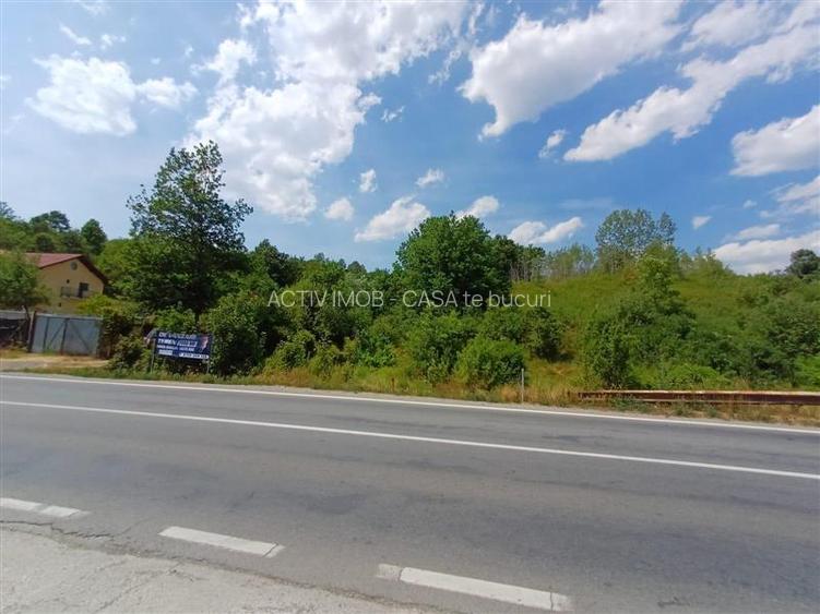 Resita, Terenuri Intravilane 2000 Mp., 28 Euro Mp., Calea Caransebesului, Mement - 5